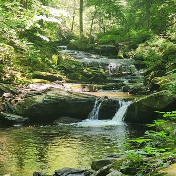 Ricketts Glen State Park - Parks Near Me - Benton, Pennsylvania