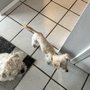 Photo of La Cueva Animal Hospital