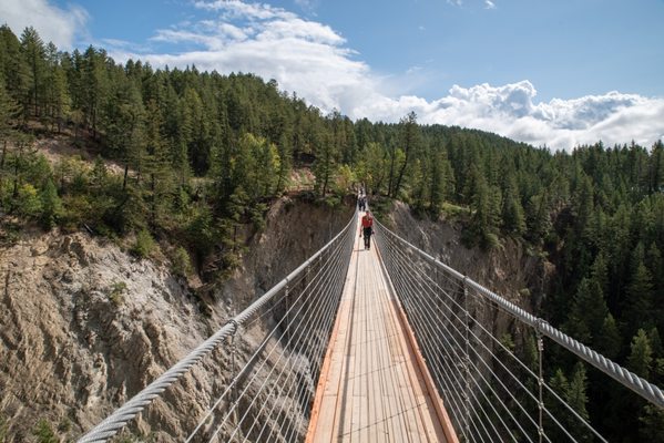 Golden Skybridge by null