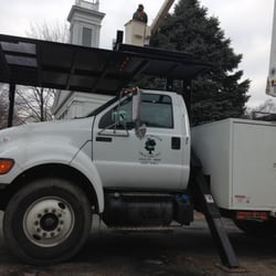 Westchester Tree Life, Inc