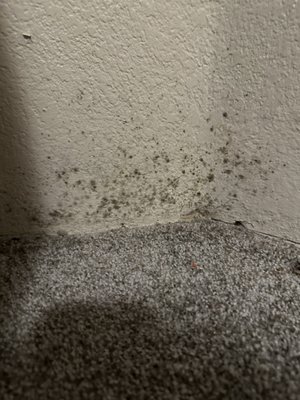 Brookside Garden Apartments