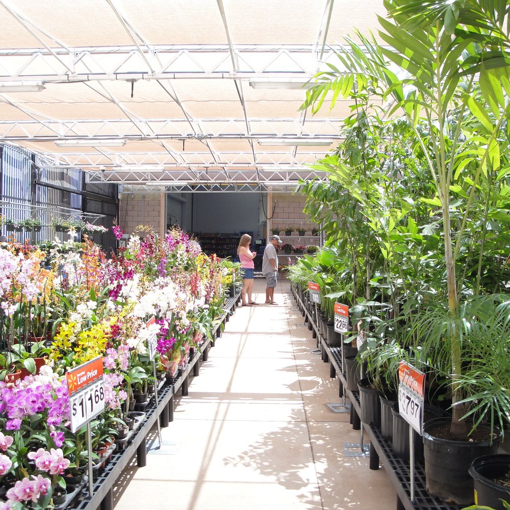 Walmart - nice garden shop - Grocery Near Me - Kapolei, Hawaii Walmart - nice garden shop - Grocery Near Me - Kapolei, Hawaii