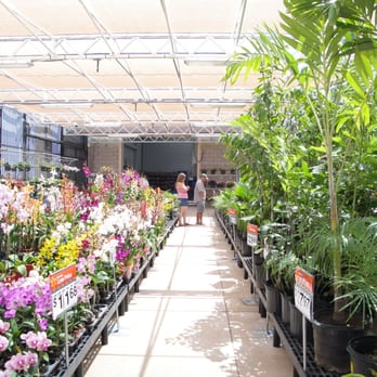 Walmart - nice garden shop - Grocery Near Me - Kapolei, Hawaii Walmart - nice garden shop - Grocery Near Me - Kapolei, Hawaii