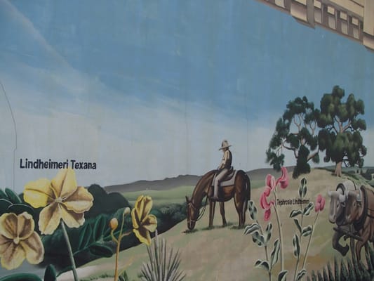 Naegelin's German Bakery by null