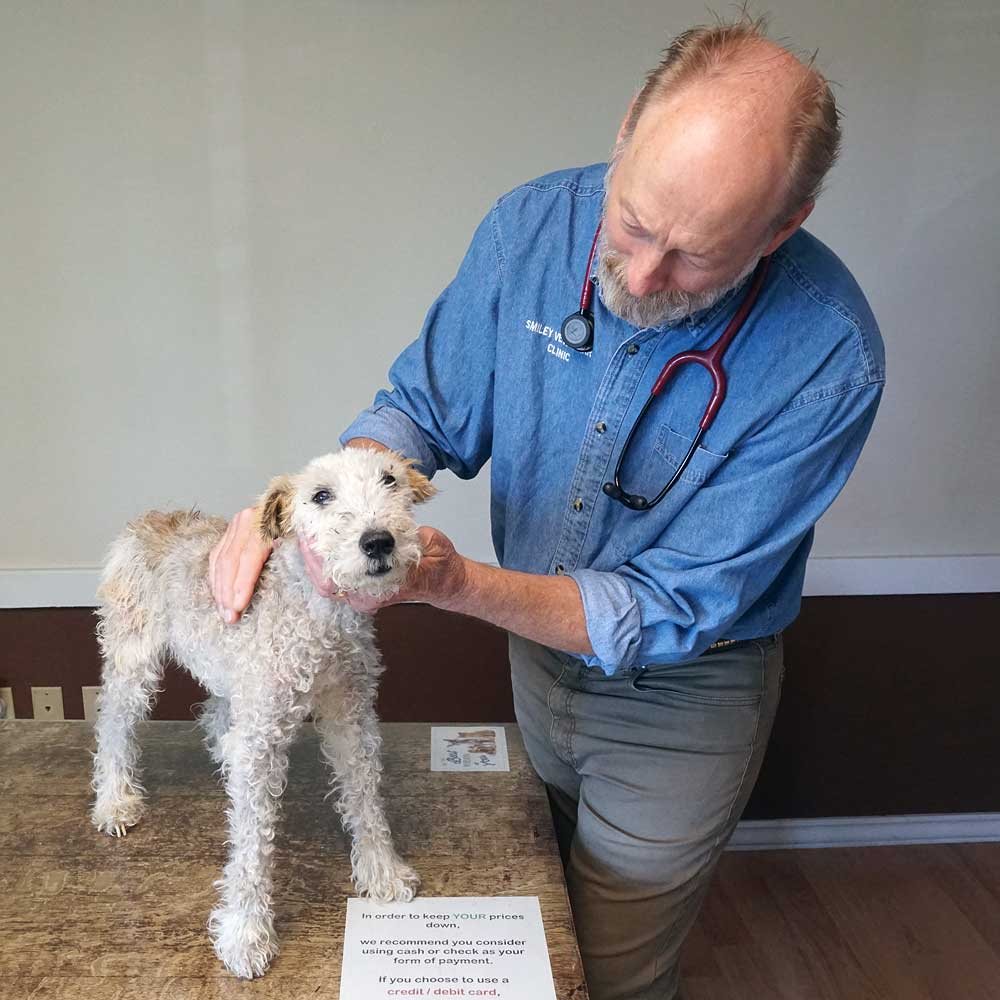 SMILEY VETERINARY CLINIC Veterinarians 40 Harvey Rd, Londonderry
