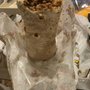 Photo of Alfonso's Mexican Food