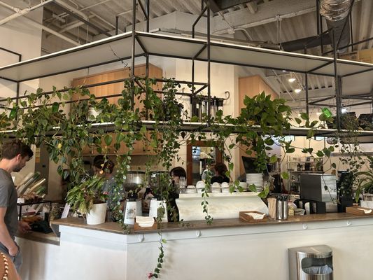 Akamai Coffee @ Wailea Village by null