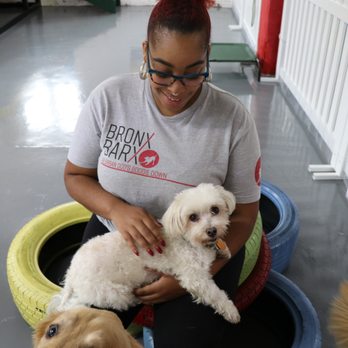 Bronx Barx - Pet Training Near Me - Bronx, New York