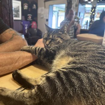 Milk Street Distillery - And this is Harry!! - Distilleries Near Me - Branchville, New Jersey