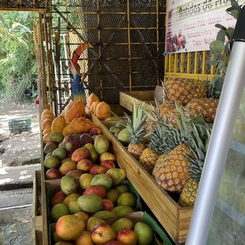 La Frutera Flores - Juice Bars & Smoothies Near Me - Luquillo, Puerto Rico La Frutera Flores - Juice Bars & Smoothies Near Me - Luquillo, Puerto Rico