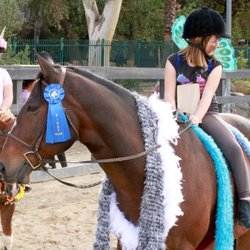 Starwood Riding Club - Peacock Luke in the costume class
