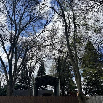 J & R Tree & Lawn Care - Took off big branch stretching over roof and cars - Lawn Services Near Me J & R Tree & Lawn Care - Took off big branch stretching over roof and cars - Lawn Services Near Me