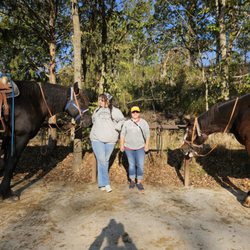 The Clydesdale Experience