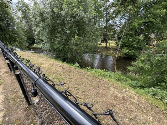 Twirling Bird by null