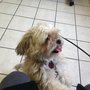 Photo of Easton Animal Clinic