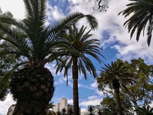 Parque García Sanabria by null
