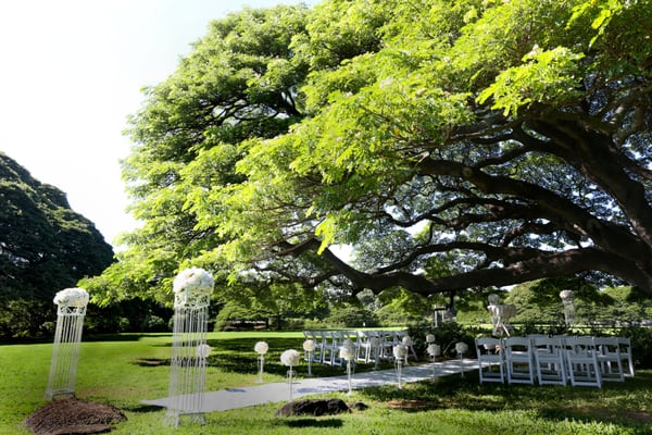 Moanalua Gardens by null