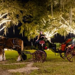 Moonlit Acre Carriages