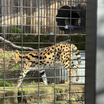 THE FOLSOM CITY ZOO SANCTUARY - Updated February 2026 - 636 Photos