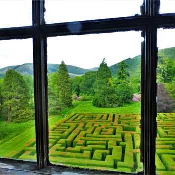 Traquair House - The maze in the backyard. - Guest Houses Near Me - Innerleithen, SCB