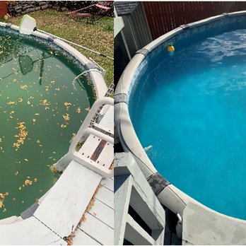 Pristine Pools - Green pool remediation. - Pool Cleaners Near Me