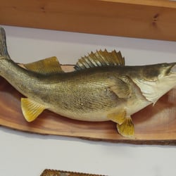 Barney's - Big Walleye