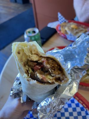 Budgies Burritos by null