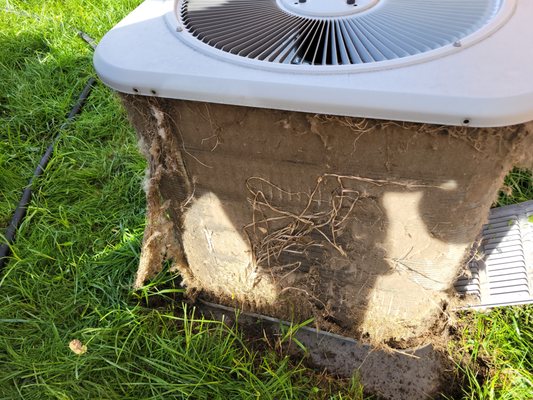 Nailed IT Handyman Services