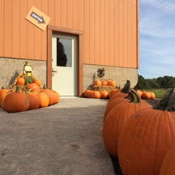 Bonadeo Farm - Pumpkins
