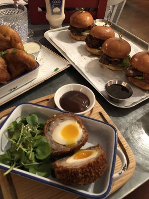 The Old Fields by null