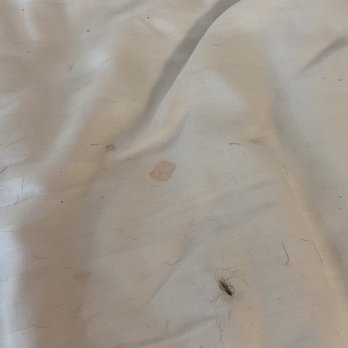 August Jack Motor Inn - Blood? Semen? - Hotels Near Me - Squamish, British Columbia