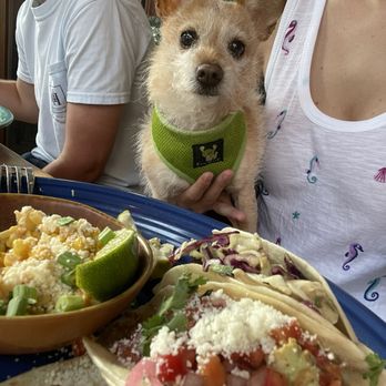 Taco Boy - Mexican Near Me - Folly Beach, South Carolina Taco Boy - Mexican Near Me - Folly Beach, South Carolina