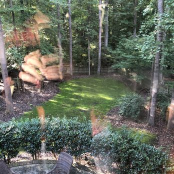 Atlantic Mulch - a view of a backyard from a window - Landscaping Near Me - Apex, North Carolina Atlantic Mulch - a view of a backyard from a window - Landscaping Near Me - Apex, North Carolina