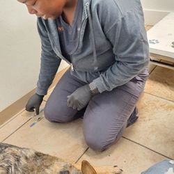Story Road Animal Hospital