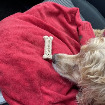 Hat Creek Burger Company - Sweet employees gave her a milk bone! - American Near Me - Georgetown, Texas Hat Creek Burger Company - Sweet employees gave her a milk bone! - American Near Me - Georgetown, Texas