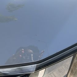 Sun Gas Shell - The bird poop is still on the car as you can clearly see.