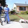 Photo of Cambrian Homecare - Torrance