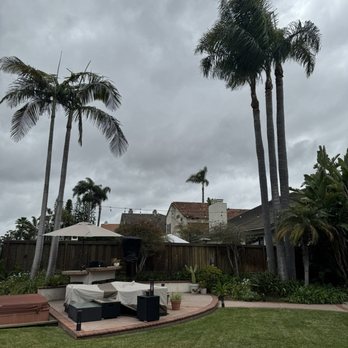 Rancho Coastal Tree - Cleaned up palms and trimmed large bird of paradise - Tree Services Near Me - San Diego, California