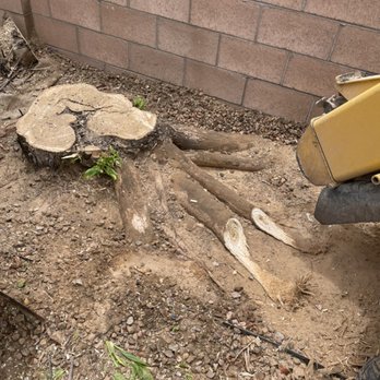 A-1 Tree Service - Before - Tree Services Near Me - Alpena, Michigan