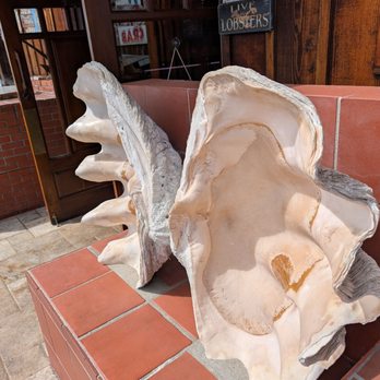Giovanni's Fish Market - Shell / wings - Seafood Near Me - Morro Bay, California