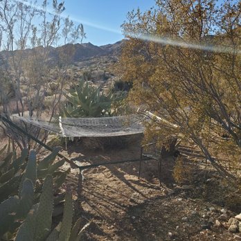 The Desert Lily - Don't skip the hammock. - Bed & Breakfast Near Me - Joshua Tree, California The Desert Lily - Don't skip the hammock. - Bed & Breakfast Near Me - Joshua Tree, California