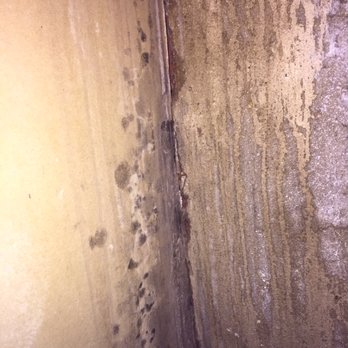New York Pro Inspections - Home Inspectors Near Me New York Pro Inspections - Home Inspectors Near Me