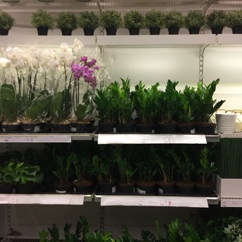 IKEA - Home Decor Near Me - Bolingbrook, Illinois IKEA - Home Decor Near Me - Bolingbrook, Illinois