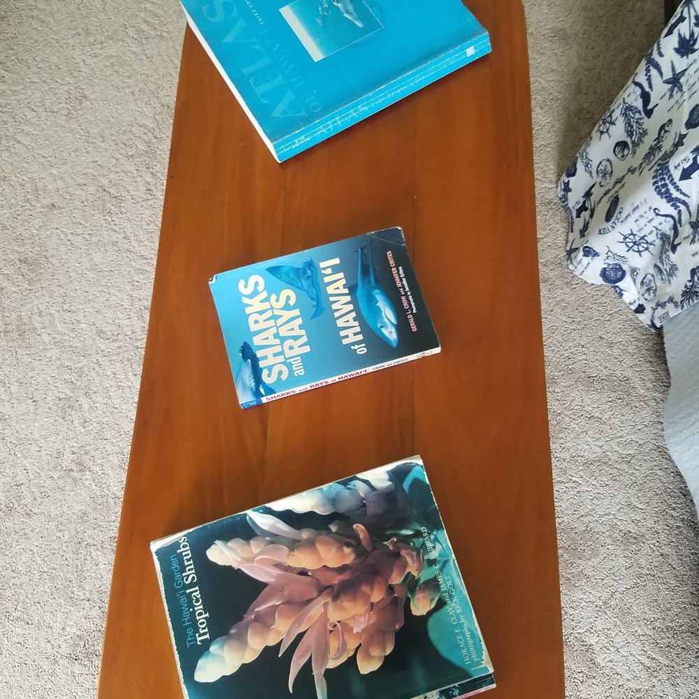 Books are my thing!