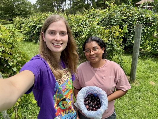 Berry Good Farms by null