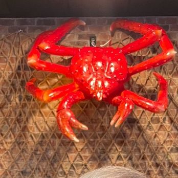 Surfing Crab - Decor on the wall - Seafood Near Me - Corpus Christi, Texas Surfing Crab - Decor on the wall - Seafood Near Me - Corpus Christi, Texas