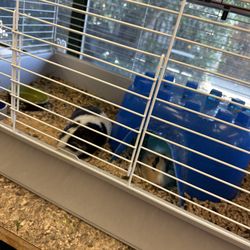 Sonoma County Animal Services