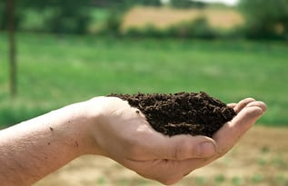 Slide of Full Cesspool Plumbing Service