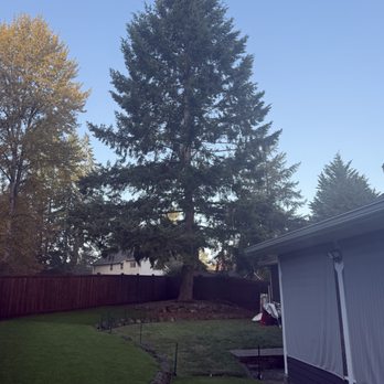 Green Nature Tree Service - Tree Services Near Me - Fall City, Washington Green Nature Tree Service - Tree Services Near Me - Fall City, Washington