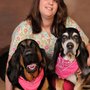 Photo of South Bend Animal Clinic